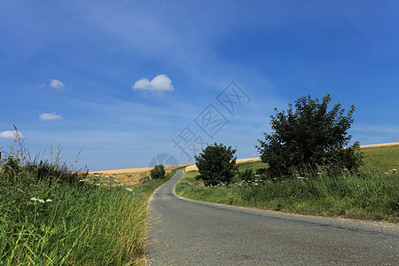 夏天在阳光下 在乡间的道路中图片