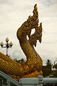 泰国的金龙金子旅游精神寺庙力量上帝雕像宗教雕塑动物图片