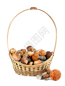 带蘑菇的篮子采摘棕色白色柳条季节食物图片