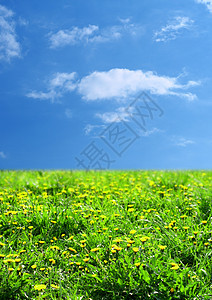 绿草景观季节天气环境土地城市地平线太阳蓝色植物阳光图片