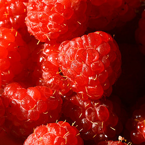 树莓草莓营养宏观甜点蔬菜诱惑种子水果美食红宝石饮食图片