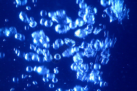 水泡液体气泡波纹蓝色飞溅运动沸腾淡水药品图片