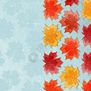 与枫叶离开的秋天背景公园天空橙子植物装饰叶子植物群季节风格墙纸图片