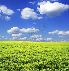 字段地平线乡村全景绿色场地牧场风景农业农场阳光图片