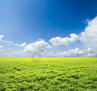 字段地平线草地植物乡村牧场场地全景天气风景农业图片