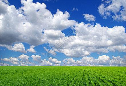 自然天空风景全景场地季节牧场国家农业蓝色农村背景图片