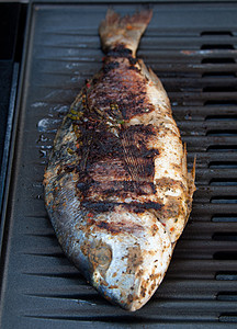 在BBQ上的Gilthead海滨油炸动物鲷鱼食谱食物蔬菜低脂肪美味烘烤盘子图片