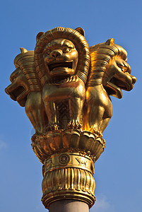 上海中国最富有的B金狮王静安定庙图片