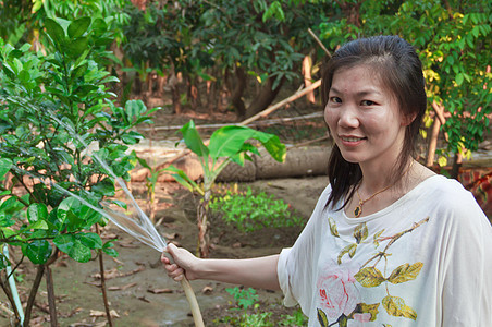 年轻有吸引力的女士给植物浇水工作水管园丁员工女性店铺成人职业工人女孩图片