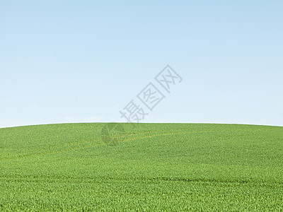 绿野草地地平线天气环境植物牧场阳光摄影蓝色场景图片