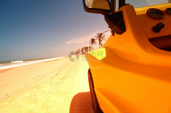 沙漠昆虫汽车控制速度干旱旅游海滩力量晴天假期玩具图片