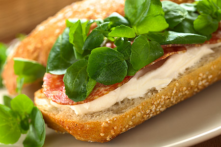 奶酪和Watercress三明治奶制品早餐食物盘子香肠水平叶子点心小吃奶油状图片