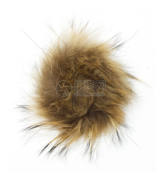 白色背景上的毛皮头发猫科宏观材料绒毛黑色棕色动物荒野情调图片