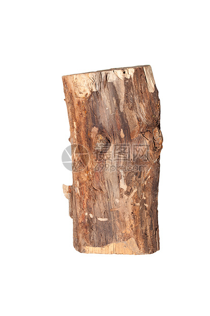 Birch原木在白色背景上被隔离棕色同心植物建造框架环境木材戒指木工人材料图片