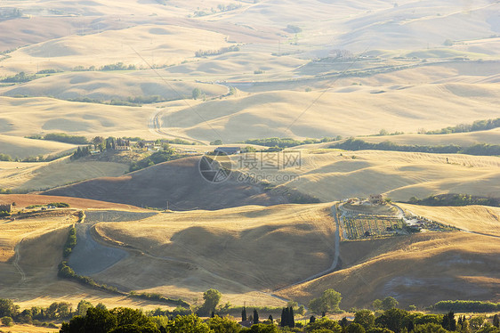 对意大利夏季托斯卡尼典型风景的看法场景阴影草地全景植物金子日落国家环境农村图片