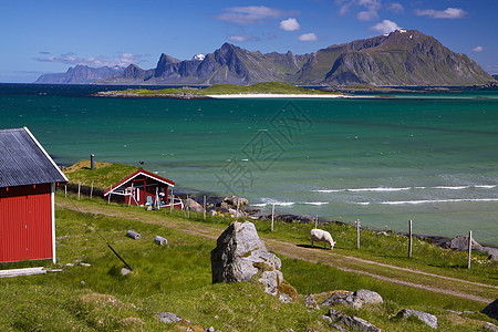 Lofoten 的全景图片