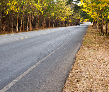 农村地区的道路风景绿色叶子缠绕曲线季节旅行国家森林树木图片