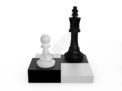 象棋细胞 当和国王图片