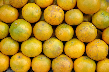 橙色橙子水果食物团体图片