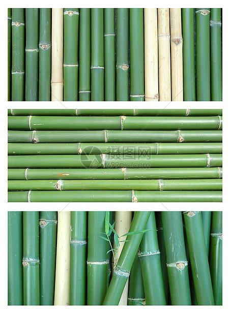 竹子的3 风格宏观大枣甜点热带水果收成食物营养圆形图片