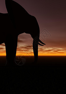 大象日落太阳旅游哺乳动物概念性天空公园红色风景野生动物图片