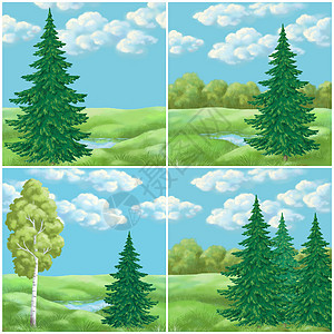 图片 夏季风景木头写意植物群天气针叶环境绘画桦木艺术草地图片