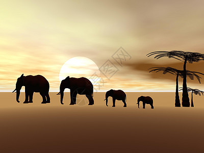 大象概念性生态哺乳动物风景公园旅游野生动物环境生态旅游热带图片
