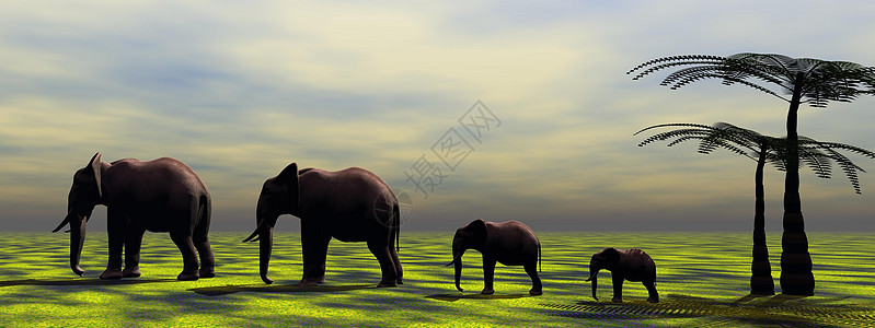 大象风景水坑公园场景团结獠牙学士树干动物荒野图片