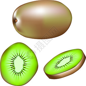 Kiwi 矢量插图图片