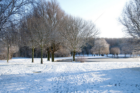 下雪时的森林白色季节磨砂雪景季节性冬景冻结寒冷图片