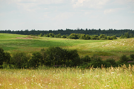 绿绿地树木蓝色天气远景场景太阳土地牧场草地地平线图片