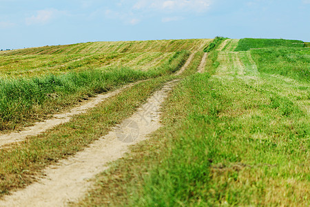 绿绿地地平线草原天气太阳国家农场土地农村植物牧场图片
