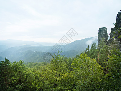 捷克 瑞士树木水平场景爬坡石头地标岩石林地旅游公园图片