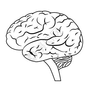 大脑器官艺术精神科身体沉思解剖学智慧医生生物学心理图片