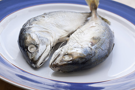 马克雷尾巴居住钓鱼海鲜生物海洋身体皮肤鲭鱼食物图片