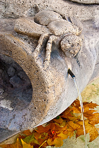方塔纳德尔阿皮雕像蜜蜂石头喷泉旅行艺术昆虫建筑学历史雕塑图片