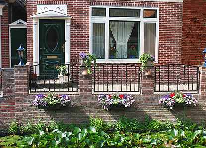 在荷兰之家门前的鲜花 荷兰图片