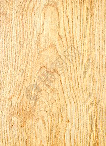 木材的木质材料木头木地板图片