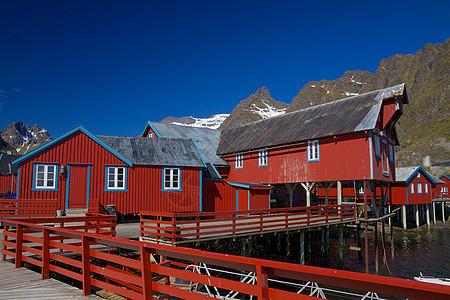 挪威渔业港挪威码头旅游房子港口村庄大豆风景红色小屋峡湾图片