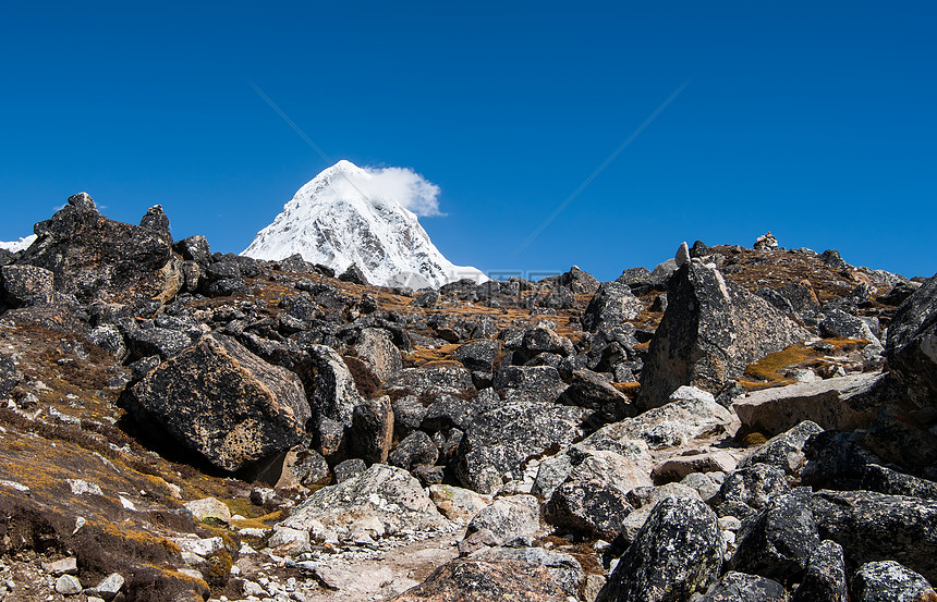 喜马拉雅山Moraine和Pumori高峰图片