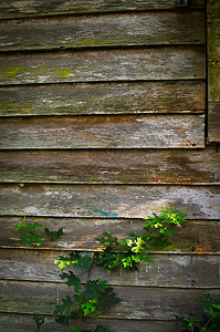旧木日背景硬木案件地面风化粮食木地板材料边界木材木工图片