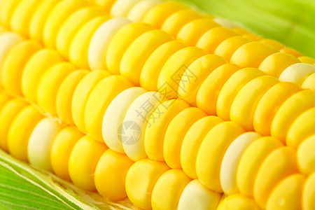 含有绿叶的玉米鳕食物玉米片农场太阳营养谷物耳朵核心收成薄片图片