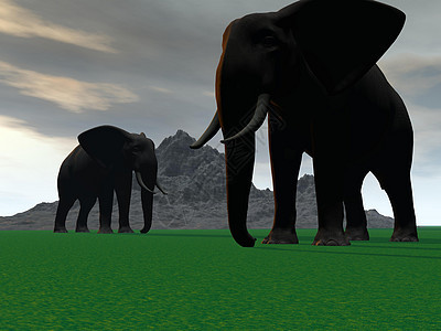 大象沙漠动物天空风景家庭蓝色山脉野生动物水池绿洲图片