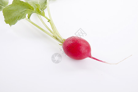 白色背景上孤立的红色红萝卜烹饪食物蔬菜农业植物花园营养萝卜块茎水果图片