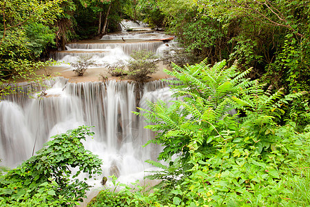 热带热带瀑布溪流运河叶子水景旅行公园丛林森林环境冒险图片