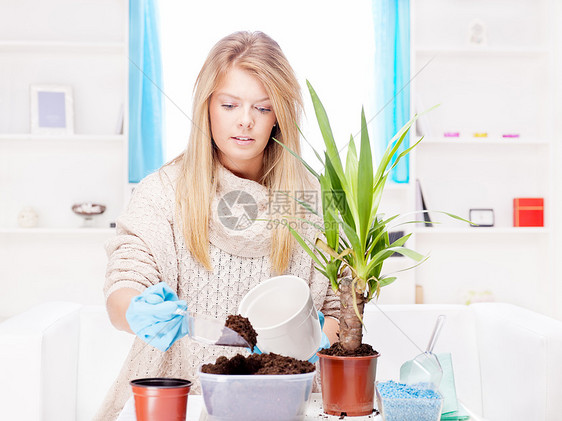 将妇女移植到更大的锅里房间手套植物沙发土壤金发座位基质树叶叶子图片