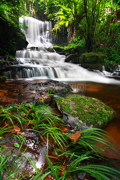 万登瀑布运动衬套丛林摄影溪流激流热带叶子植物森林图片