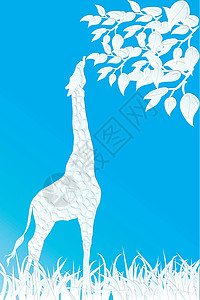 Giraffe 在天空中吃叶子 蓝蓝色背景图片