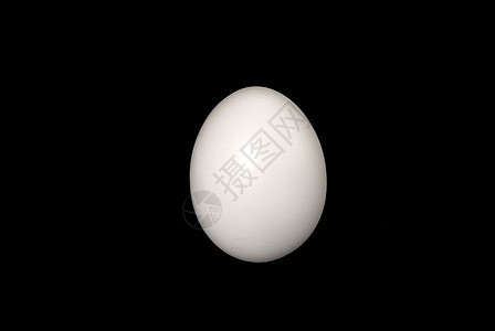白蛋母鸡蛋壳食物白色背景图片