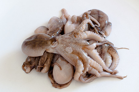 婴儿章鱼莫斯卡迪尼海鲜美味美食鱿鱼炙烤触手生活乌贼海妖食物图片